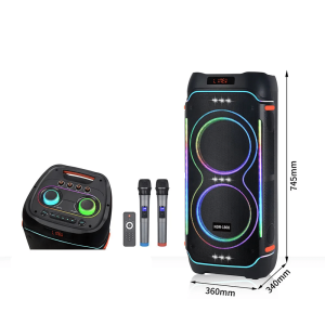 Boxă Portabilă Party3000 800W cu 2 Difuzoare de 12 Inch, Lumini LED Dinamice și 2 Microfoane Wireless – Sistem Audio Karaoke pentru Petreceri și Evenimente
