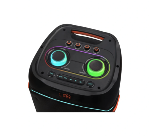 Boxă Portabilă Party3000 800W cu 2 Difuzoare de 12 Inch, Lumini LED Dinamice și 2 Microfoane Wireless – Sistem Audio Karaoke pentru Petreceri și Evenimente