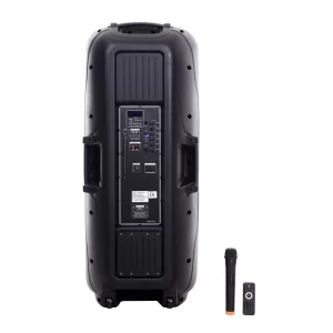 Boxă Portabilă Profesională 15 Inch cu Bluetooth și Microfon Wireless – Sistem Audio Karaoke cu Baterie Reîncărcabilă pentru Petreceri și Evenimente