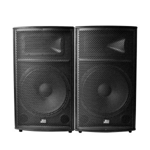 Set Boxe Profesionale 1000W cu Bluetooth, Egalizator Grafic 5 Benzi, 2 Microfoane Wireless și Telecomandă – Sistem Audio pentru Karaoke și Evenimente