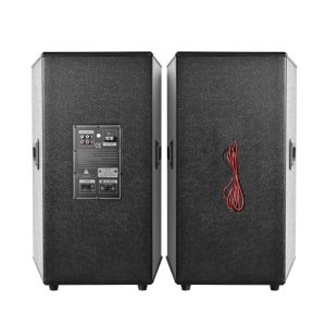 Set Boxe Profesionale 1000W cu Bluetooth, Egalizator Grafic 5 Benzi, 2 Microfoane Wireless și Telecomandă – Sistem Audio pentru Karaoke și Evenimente